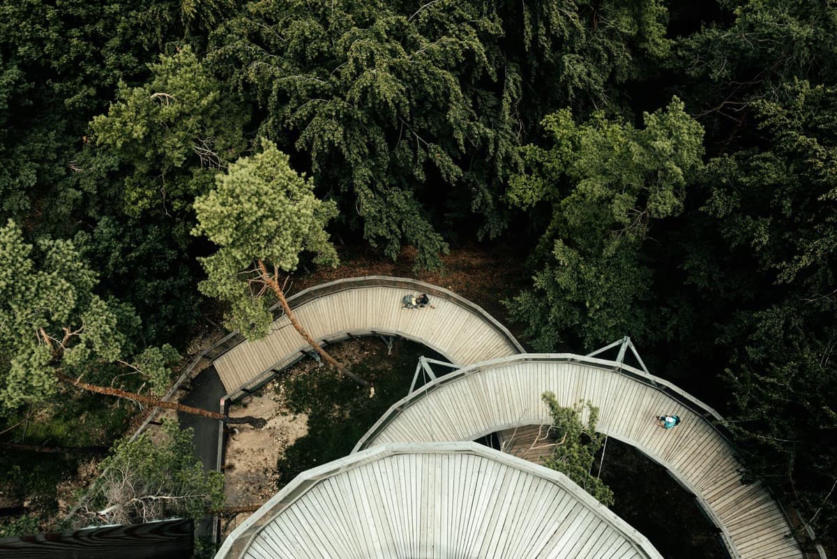 Aerial view of curving wooden canopy walkways winding through a green forest (16:9)