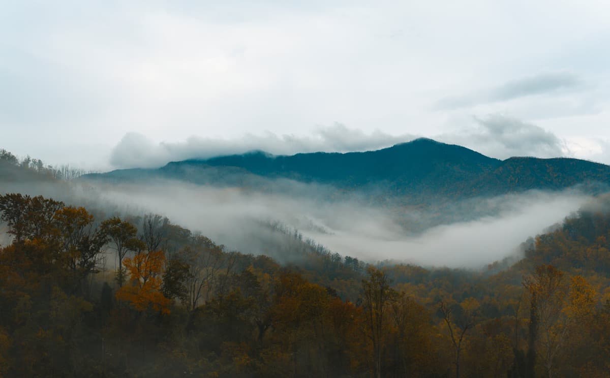 Fog drifting through autumn-colored forested ridges of the Smoky Mountains (16:9)