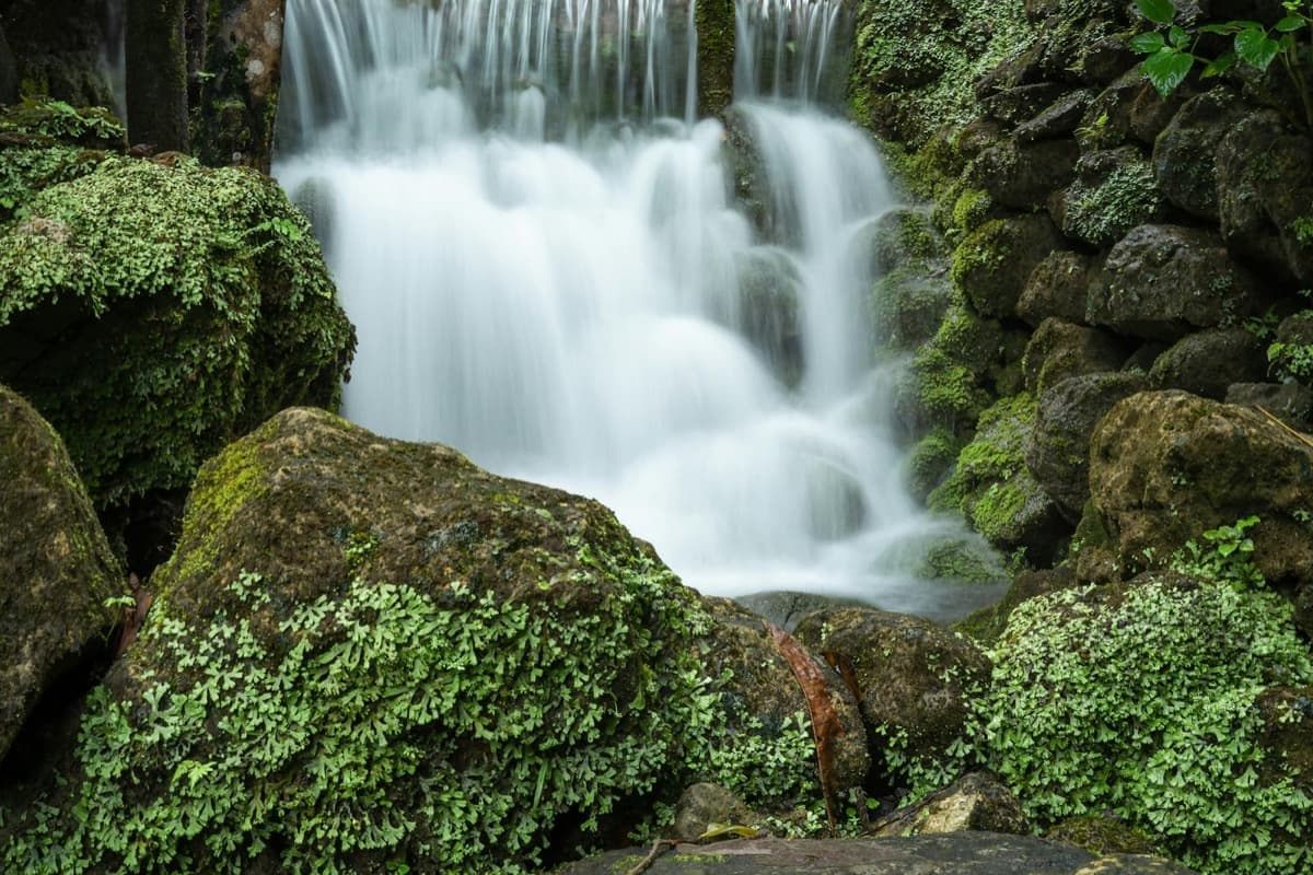 A forest waterfall cascading over moss-covered rocks (16:9)