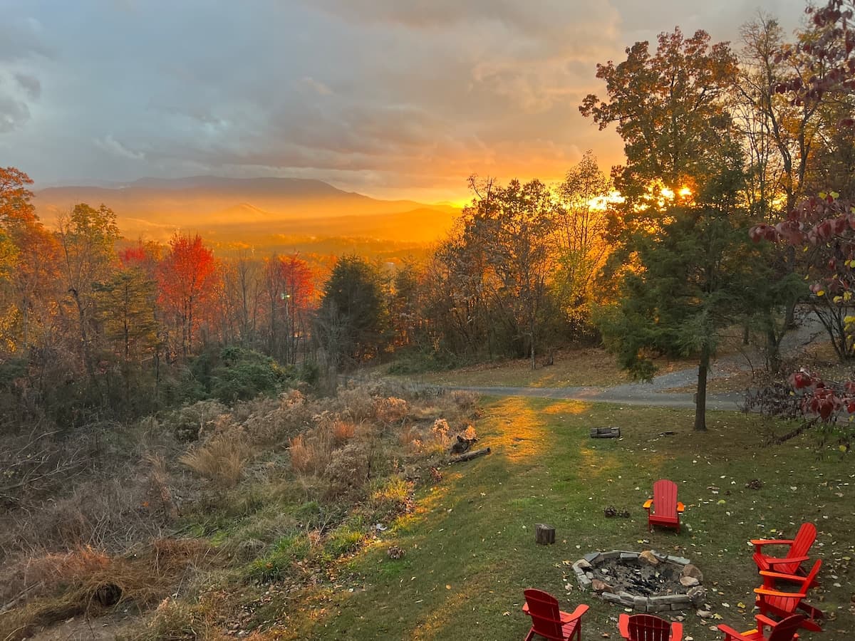 Aerial view of Parrot Mountain showing the cabin's green roof at the highest point surrounded by forest