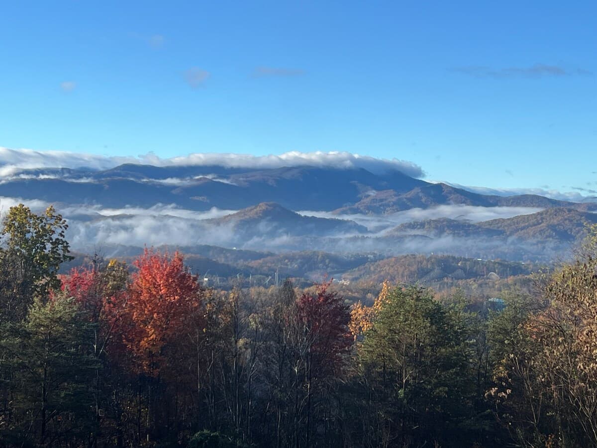 Recently updated cabin interior with fresh decor