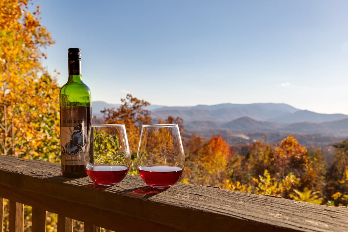 Two glasses of red wine with Hillside Winery bottle on deck railing overlooking Smoky Mountain fall foliage