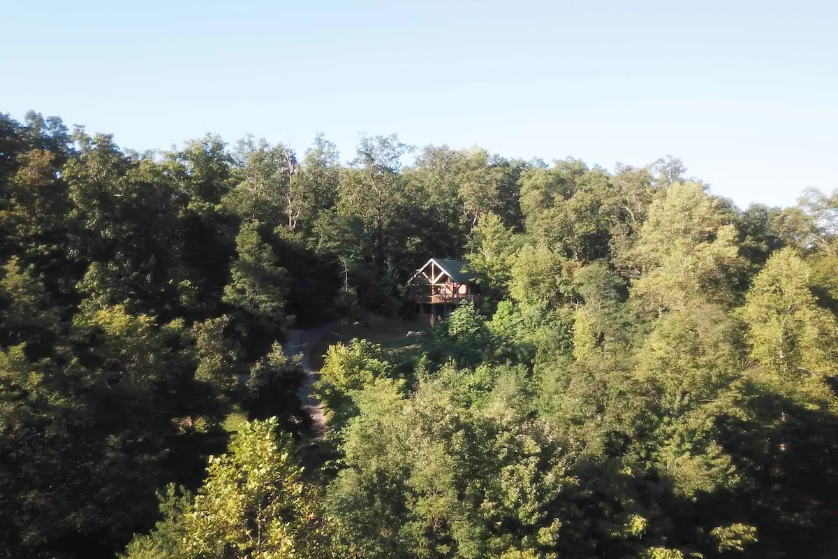Actual view of the secluded forest surrounding Thistle Britches cabin